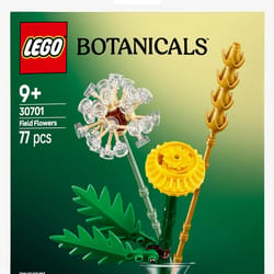 Lego Botanicals Field Flowers 빌딩 세트