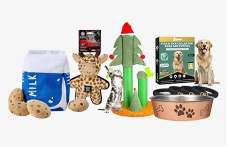 No Tricks Just Treats for Pets 세일