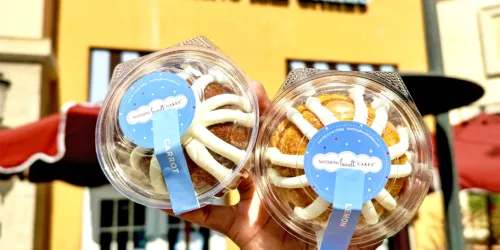 Nothing Bundt Cakes 1+1 Bundtlets - 이메일 프로모션 코드로 1+1 혜택