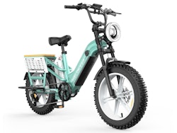 Helokeep CD20 Cargo 전기 자전거